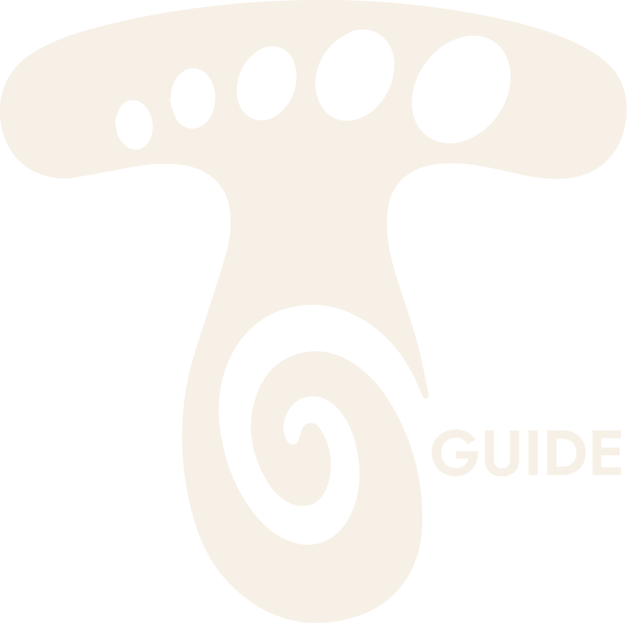 T.O.E Guide